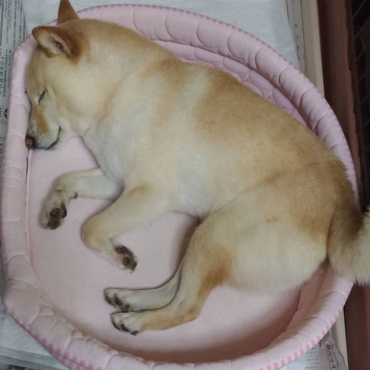 092c6492 1d2a 40d2 9624 70f9b5cfee5c 1591359348094