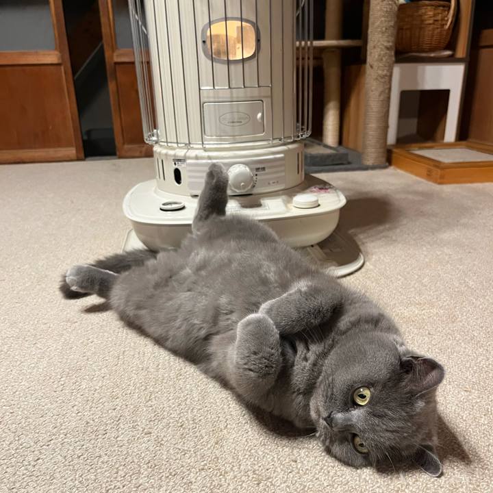 092c7135 154e 4f63 a958 4f8ce10ac462 1673169576847