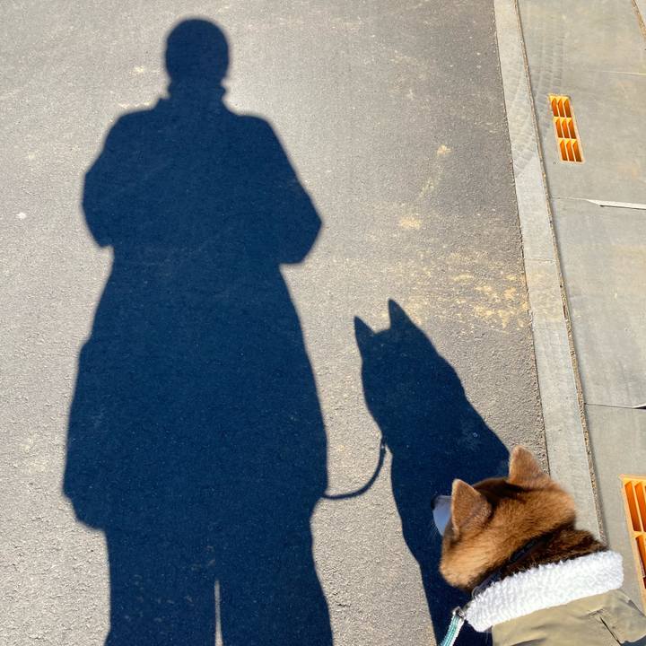 092c9906 e686 4880 b37c d9f5ce00185d 1739238209504