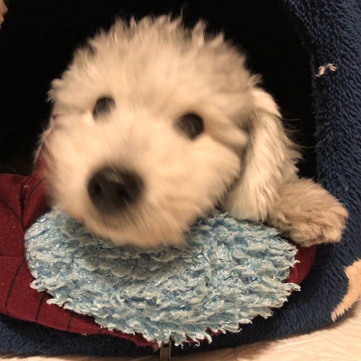 092cb495 536f 41f5 be43 d508ef7d46df 1601559237647