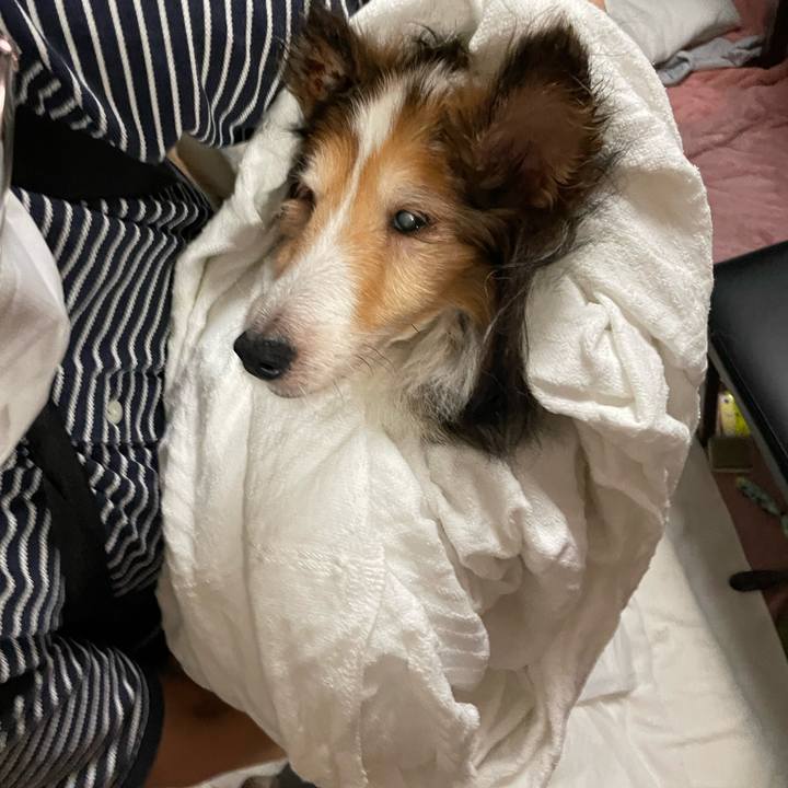 092cc910 9498 4bbe 8b9d 6aeb42b369dc 1702977954798