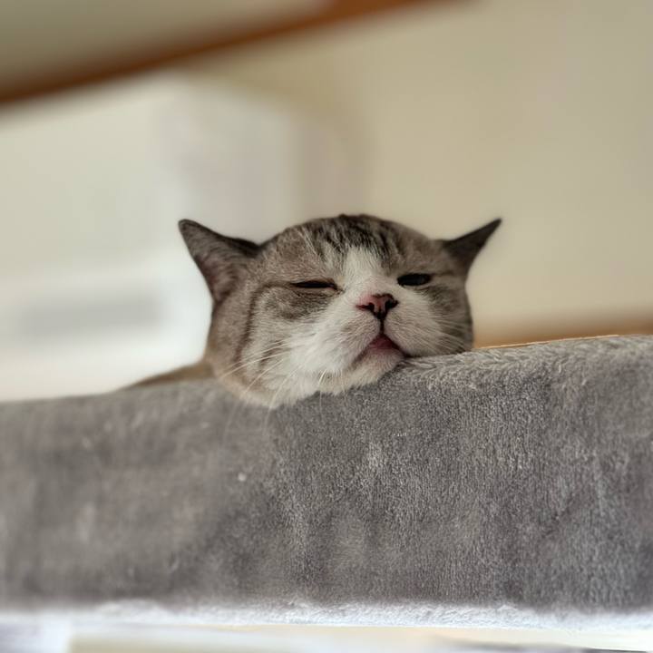 092cca2a 60a8 4aec 895b 672886c9b4b1 1727838479749