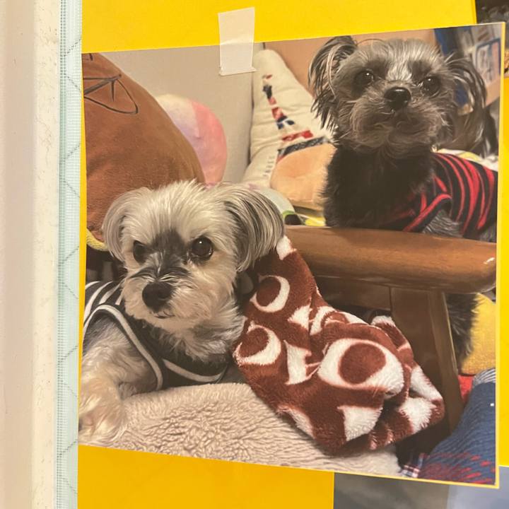 092cd0ce 3d50 4b78 bb71 8c0e45b5d773 1774157270138