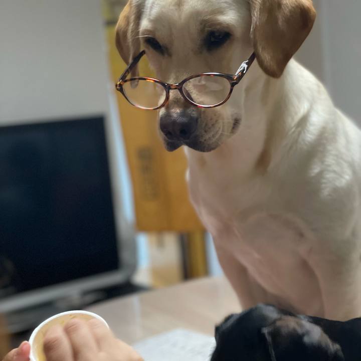 092cdd16 249a 4b5d 84f3 320f7c2be9af 1655248060861