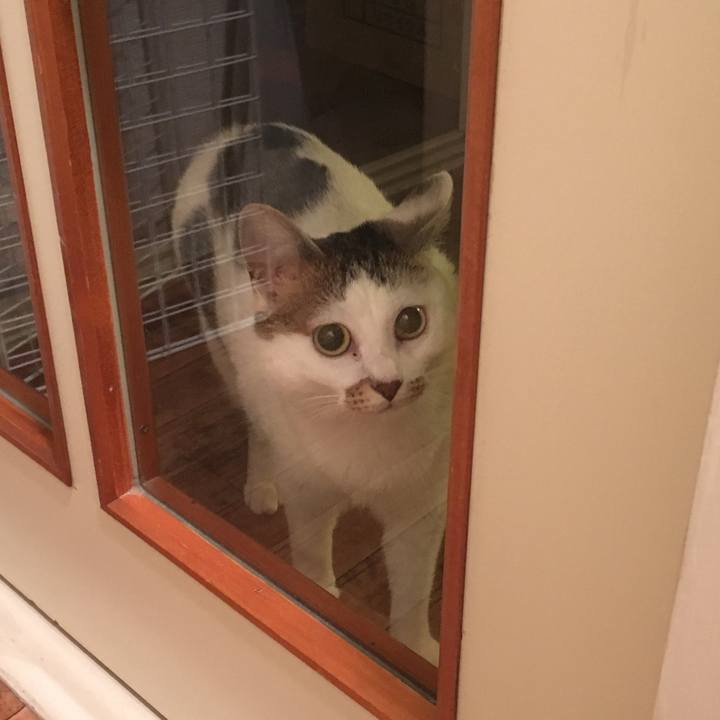 092ce681 5429 4ee2 80df e44b5b2e559d 1523725368170