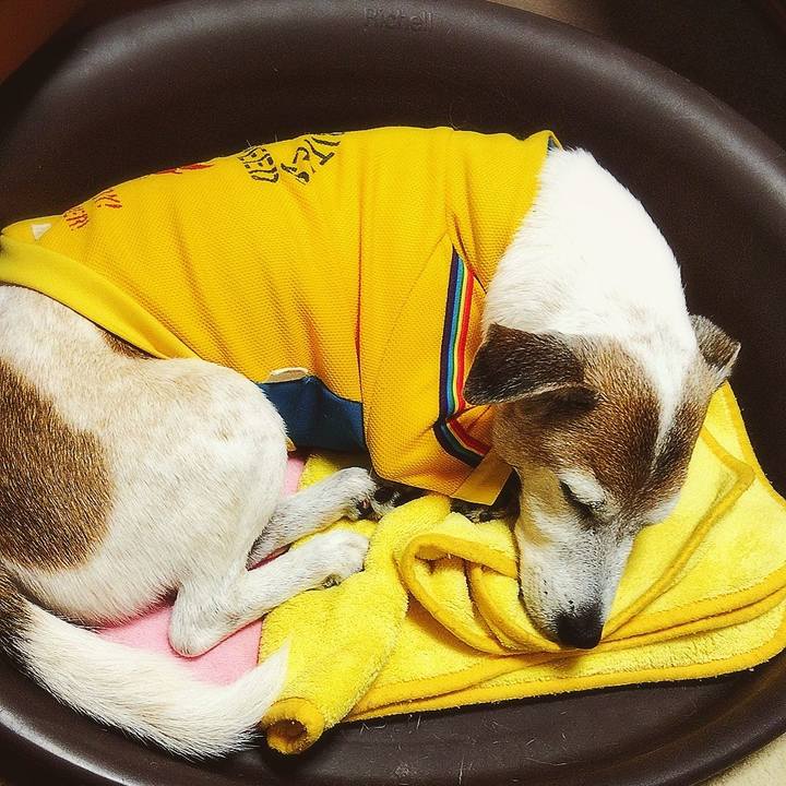 092cf9b5 e6b3 4d53 a3f4 8db498e0d63f 1577708055864