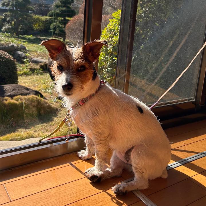 092d02d9 b792 4fb1 a527 a548bfa136ec 1768627207780