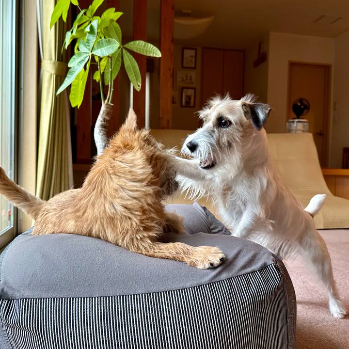 092d0f52 bf43 4c11 ab4c 65a8c97dea5e 1708483752956