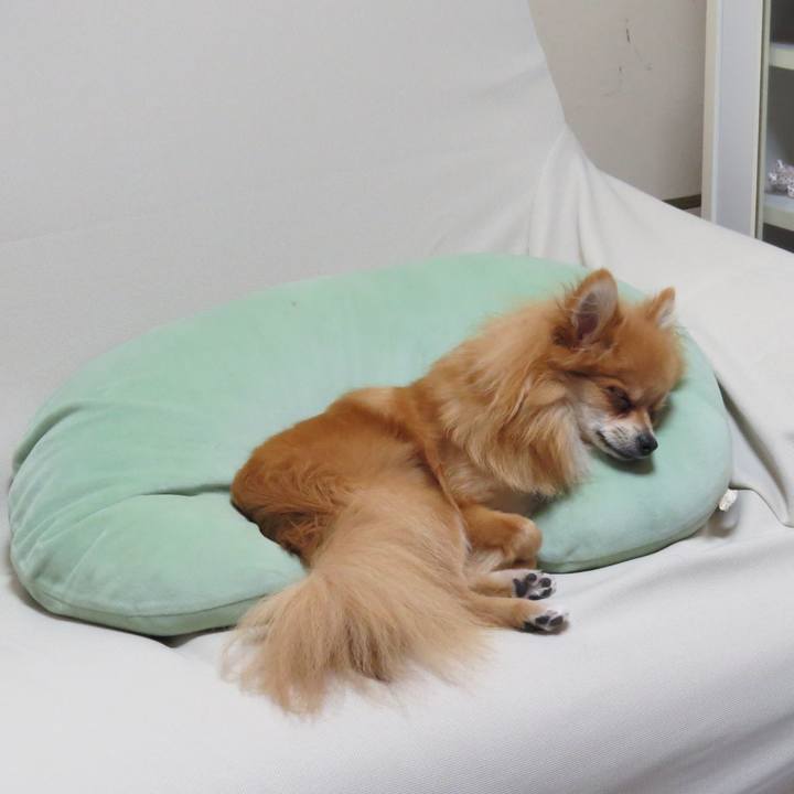 092d133d 1260 4b97 bad4 41ff73e32b1c 1538105928987