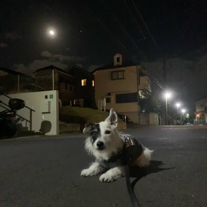 092d2d9a 4344 42d5 b5f9 35d638df1da8 1729515745995