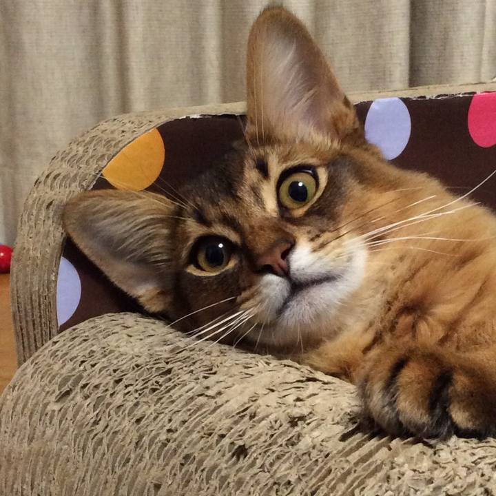 092d2ec6 db9f 460f b6bf 42f72f7835bc 1582035511747