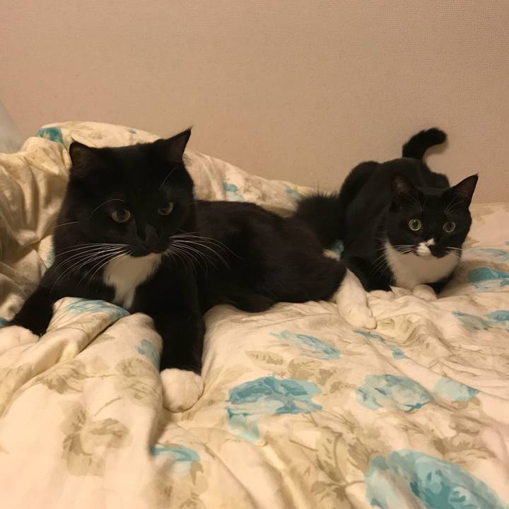 092d46ee 5570 4edf baa2 53b8c1892457 1508197105978