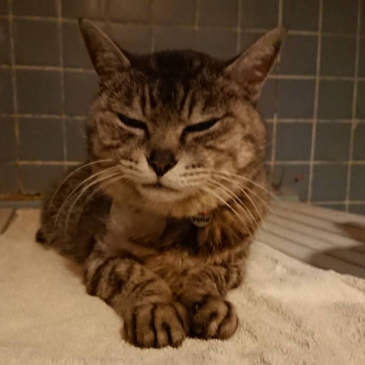 092d60e6 312c 45b6 9216 cbc8fe5b6ffb 1590315691853