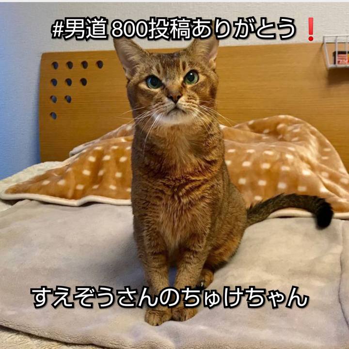 092d8781 a914 4a84 87f8 dfcadd11448e 1558086985093