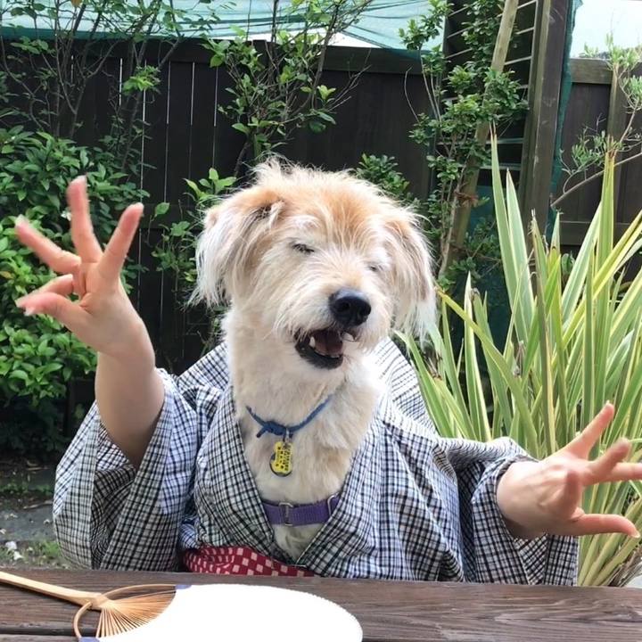 092da25b dc7c 4c29 9d70 6d0ee77ff844 1596252019855