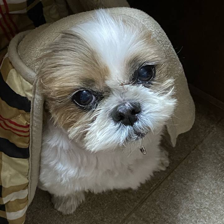 092da61a 10d7 40f0 bbc9 6c6df4ad0879 1605493052508