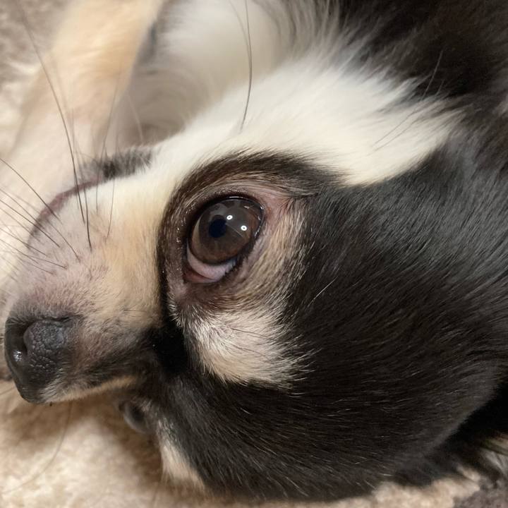 092de19c 856c 420e 9abb 1cd971b51052 1619358888395