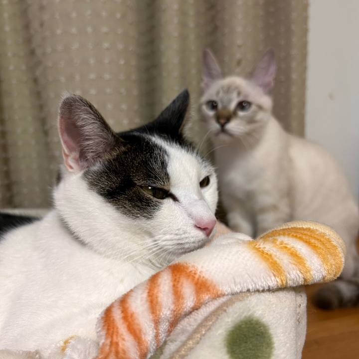 092df324 08d3 4c84 96d8 285c39c9e197 1728909224641