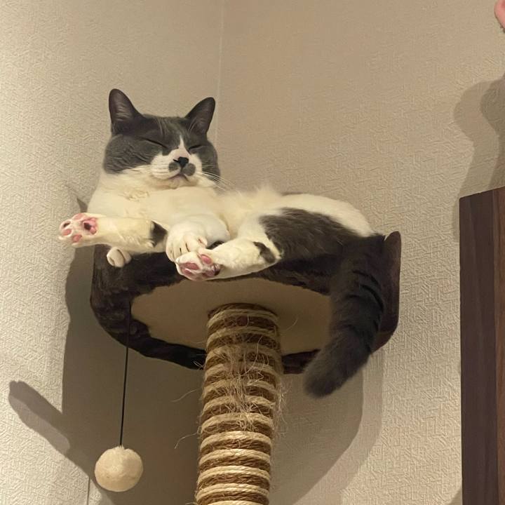 092e1088 7dd3 4cbc 85c3 571827aa1dfe 1712246385834