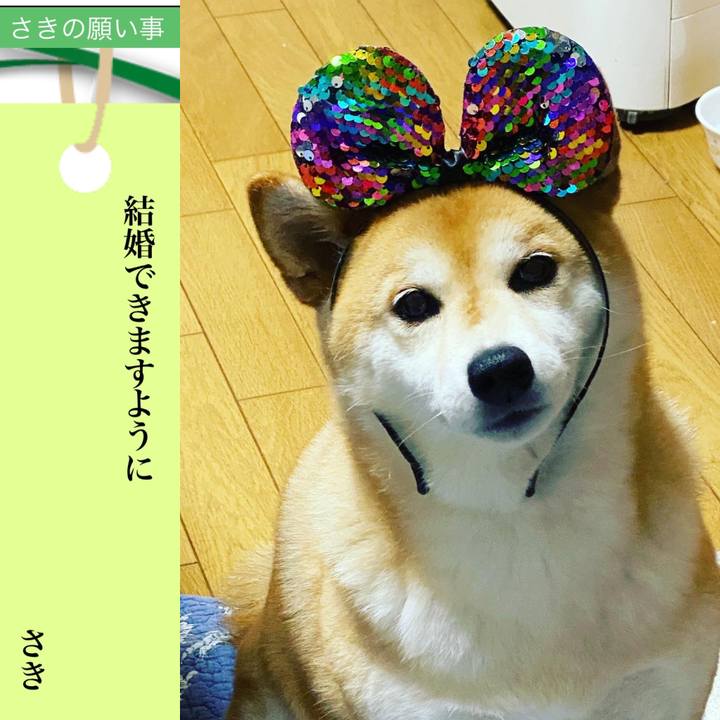 092e136d e42a 4610 82a5 c98b34b1227b 1594051080627