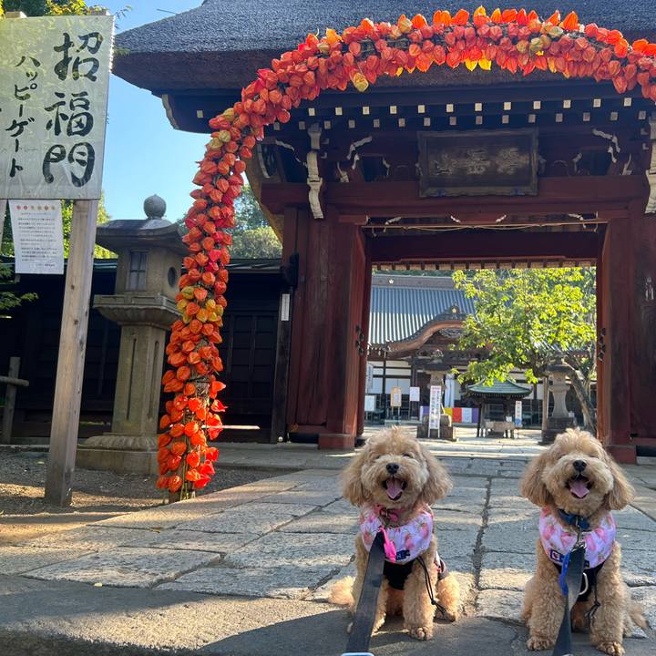 092e49aa 366a 4753 a1fb 6f663b4f15b2 1723423612051