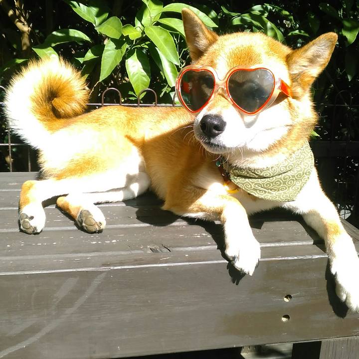 092e5a44 a86d 498b 9afe cb175dd64714 1534226127463