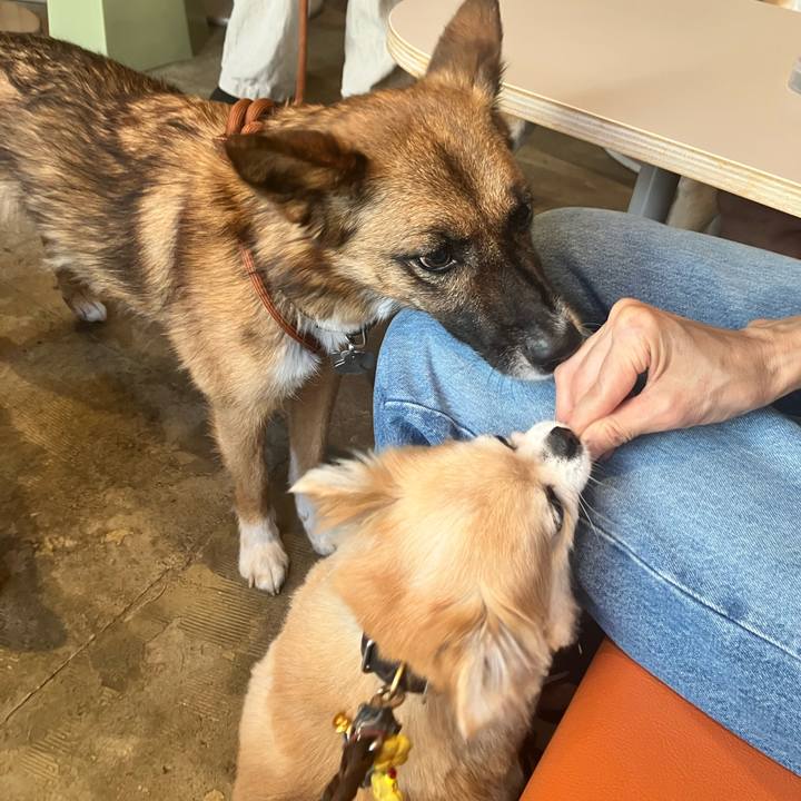 092e7658 b100 4b57 8d46 837c0da95e8d 1753194573592