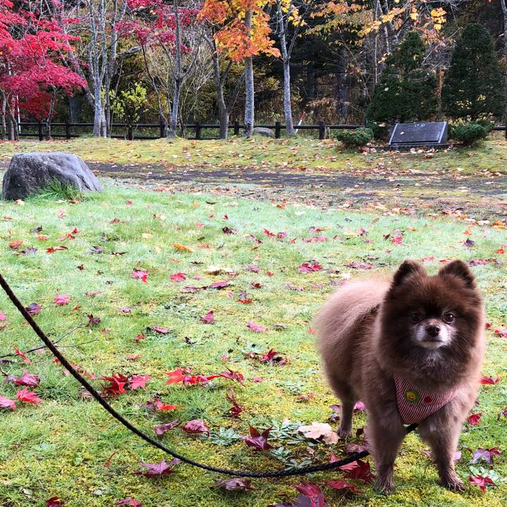 092e7892 1fe1 4b50 8463 45d841f619e6 1541309275556