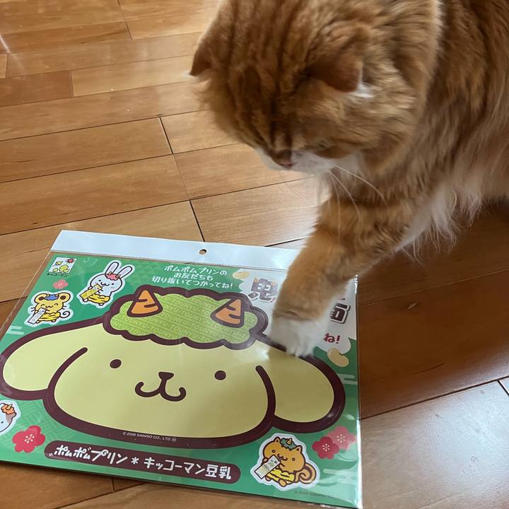 092e889f 6b09 4a36 b63d c7adaa83404b 1769829393562