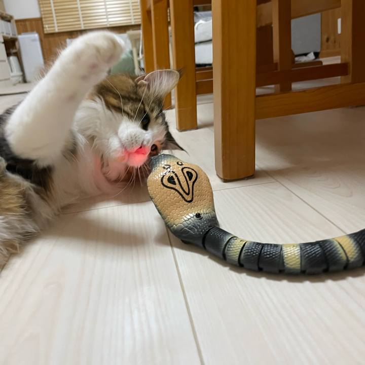 092ed127 8d1a 4469 b133 ac708953f0e2 1648034009384