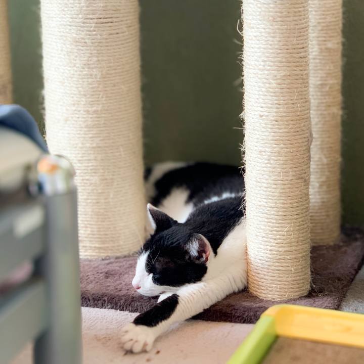 092ee989 5adf 49fe b8e0 d6de79d17835 1600568862125