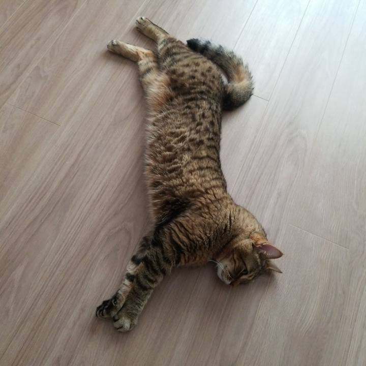 092f042f 8f09 45bb 9acc 1fe42e66a791 1586295606280