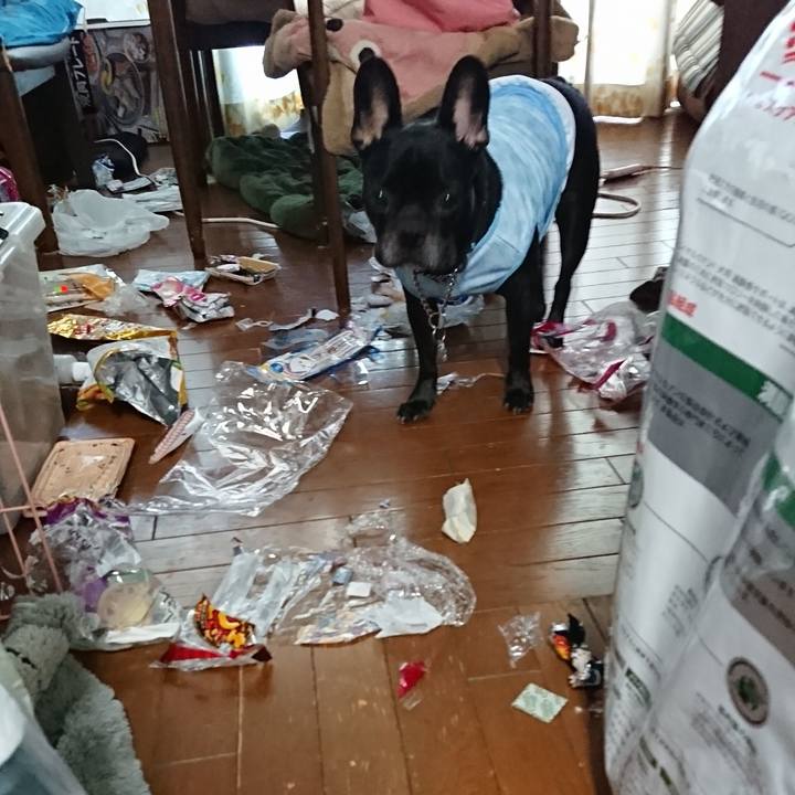 092f137e 72ac 42f9 86da ecd18f5c90d3 1597198729448