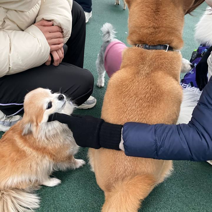 092f655b bc9f 453f a9c4 5eed0ef2b5c9 1771300706628