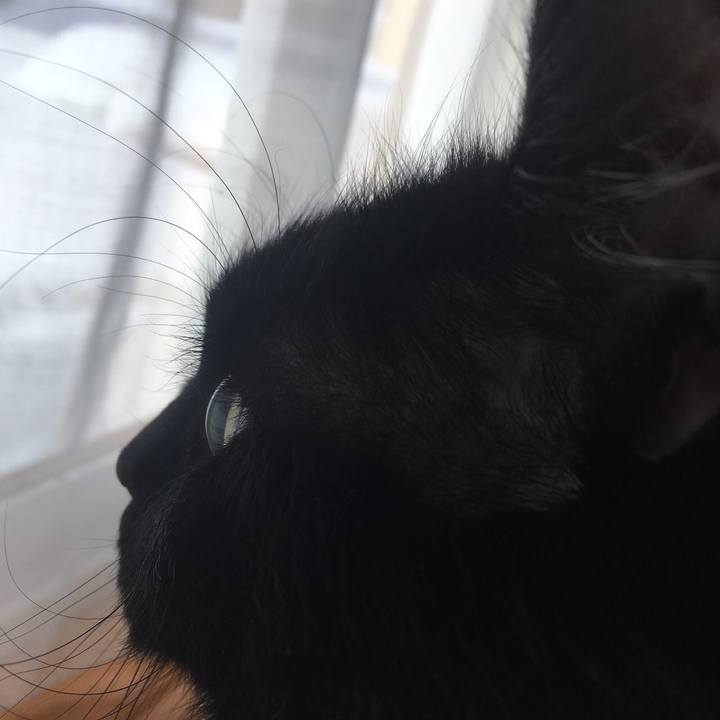 092f6899 c63b 4be2 aee4 ea6c9fb88c36 1550205476627