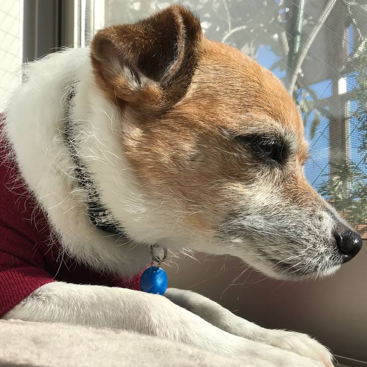 092f783a 75cd 4eb6 aa52 16dacc888737 1578203632633