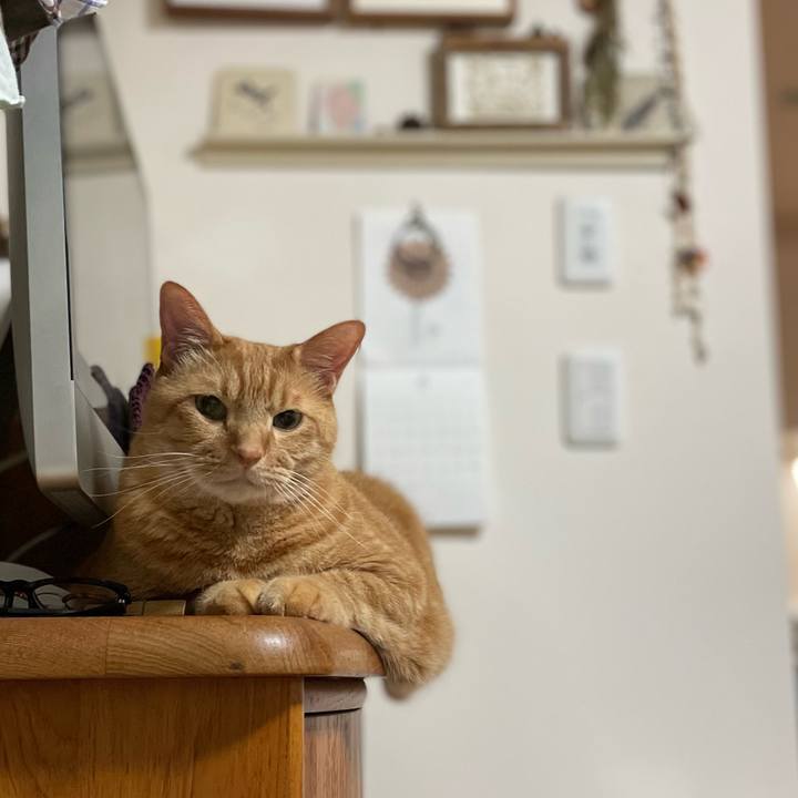 092f9546 14eb 4dc4 ae9a 886d4719ae7c 1664634718886