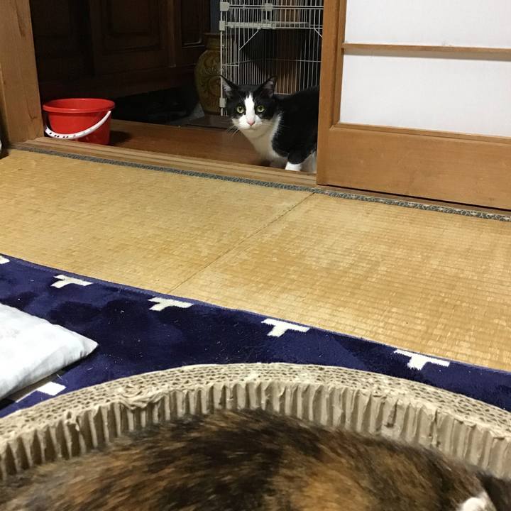 092f972c 2294 431e b30b d8ad57c7a89e 1717415261085