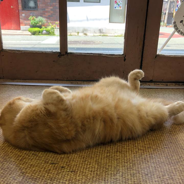 092fd4e0 65dd 4326 852a 9850a4fb3425 1646529674729