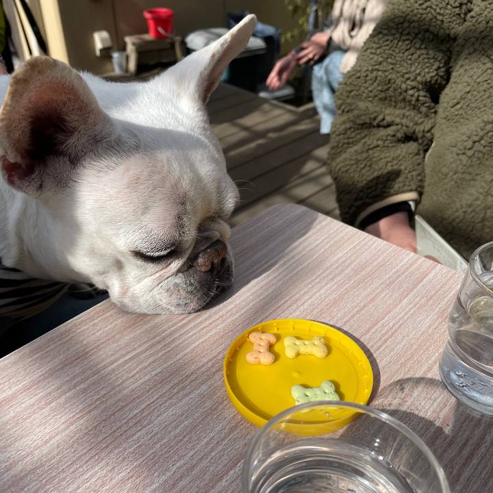 093008e5 7887 4dd5 a8e0 0608fec6e90d 1740298980364