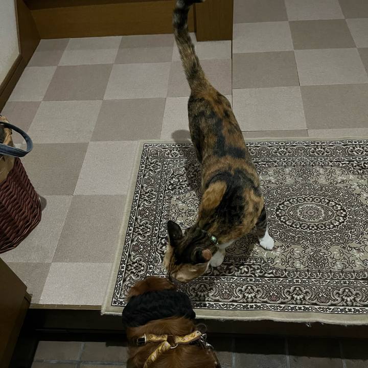 0930aceb 238b 49b5 bede ebf178bc5e69 1757240832439