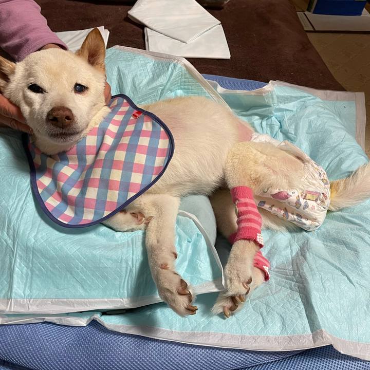 0930ea22 5f88 44ee a794 9d81fe118757 1674226368745