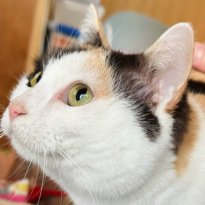 09310c77 70a7 43ee 9c51 bba870efea76 1709344590655