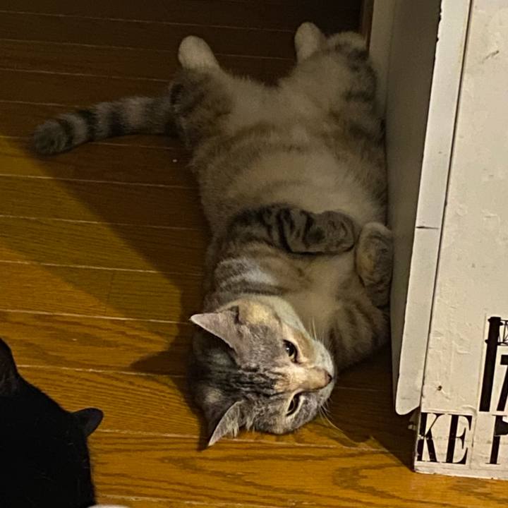 09311bab 7ebc 4d42 b62e 23bb8912d315 1659141277575