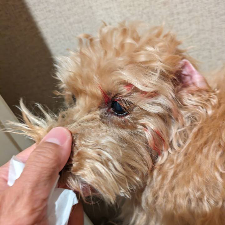 0931243d be57 4245 9015 5cb8e24aabd2 1714558354014