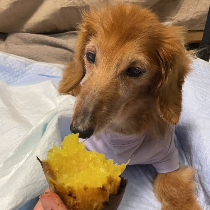 09312759 2f66 4be6 b78d be4c9de461e2 1715514186718