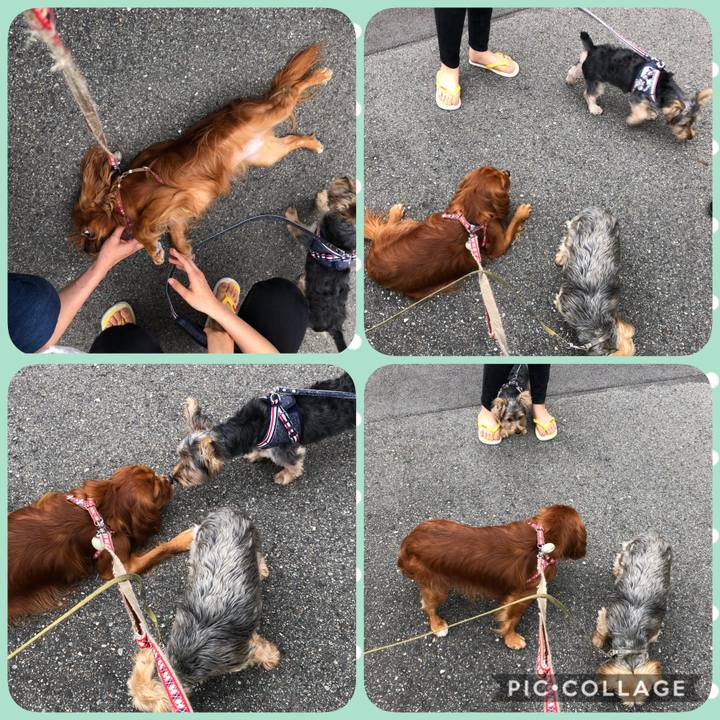 09314cf7 e2bb 4965 9e61 afdb4ca74def 1592734783746