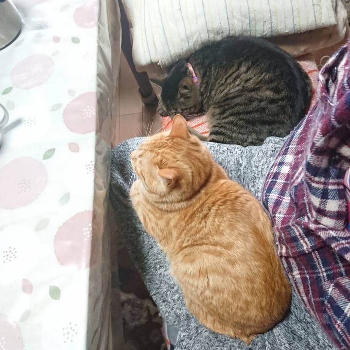 09316ccf f373 4602 94e2 0fca3a2a87ed 1649039770347