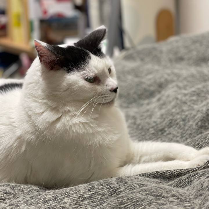 0931827f 2f1f 4aef 9501 3ccd31b2b831 1669540624396