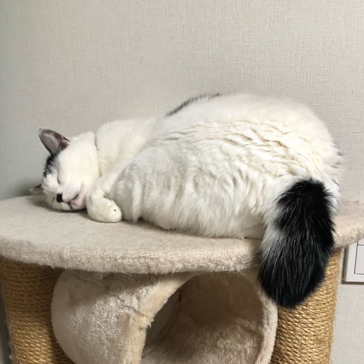 09319ab4 ab9c 41aa bff6 4eea734d563a 1577017248408